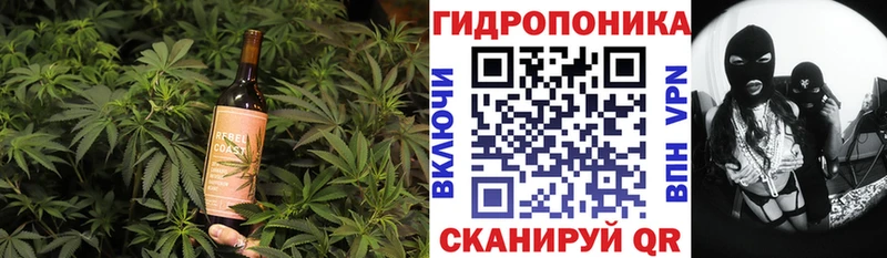 даркнет официальный сайт  Микунь  Canna-Cookies марихуана 