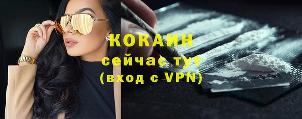 гидра Вяземский