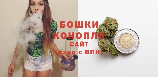 ПСИЛОЦИБИНОВЫЕ ГРИБЫ Богданович