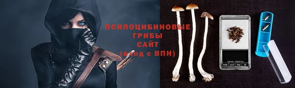 прущие крисы Богородицк
