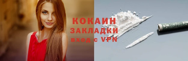 ПСИЛОЦИБИНОВЫЕ ГРИБЫ Богданович