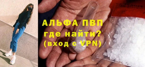 ПСИЛОЦИБИНОВЫЕ ГРИБЫ Богданович
